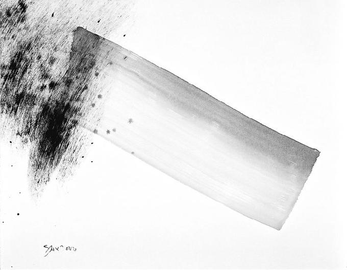 6-2000 dual 45x56.jpg privatbesitz.jpg